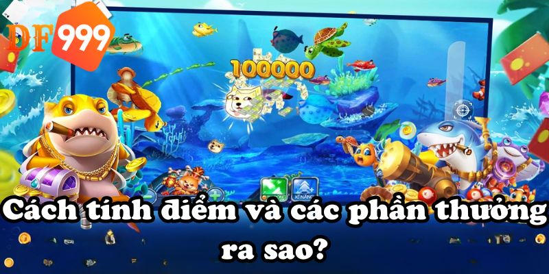Cách tính điểm và các phần thưởng ra sao?