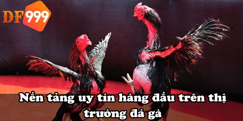 Nền tảng uy tín hàng đầu trên thị trường đá gà