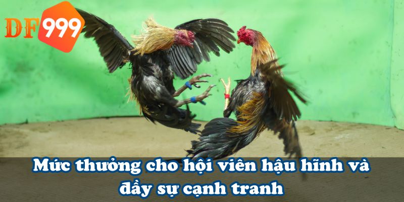 Mức thưởng cho hội viên hậu hĩnh và đầy sự cạnh tranh