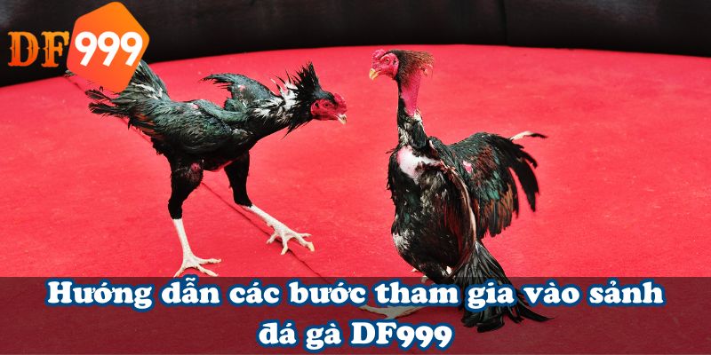 Hướng dẫn các bước tham gia vào sảnh đá gà DF999