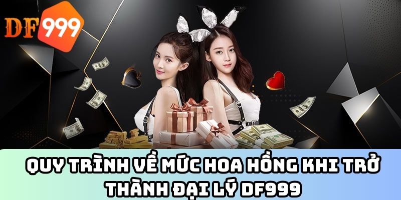 Quy trình về mức hoa hồng khi trở thành đại lý DF999
